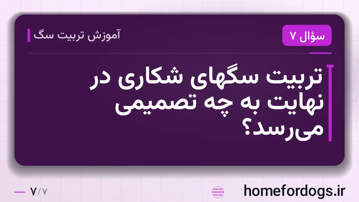 تربیت سگهای شکاری در نهایت به چه تصمیمی می‌رسد؟