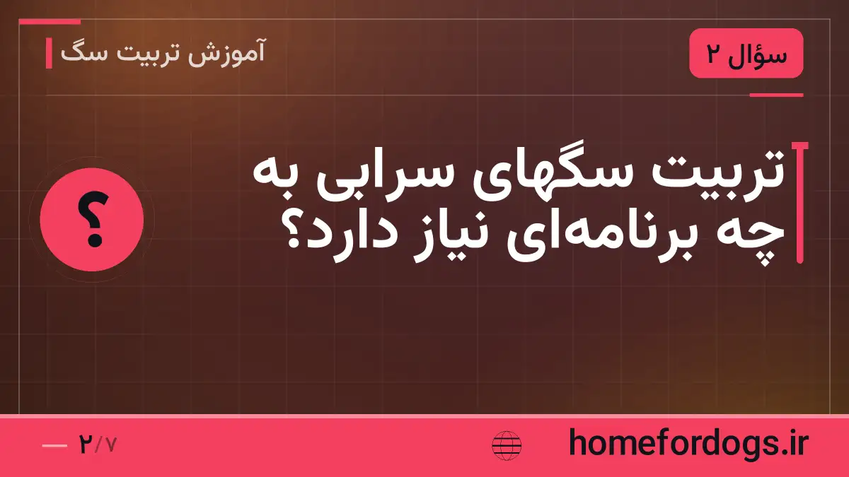 تربیت سگهای سرابی به چه برنامه‌ای نیاز دارد؟