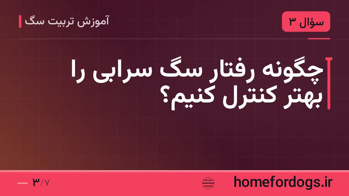 چگونه رفتار سگ سرابی را بهتر کنترل کنیم؟