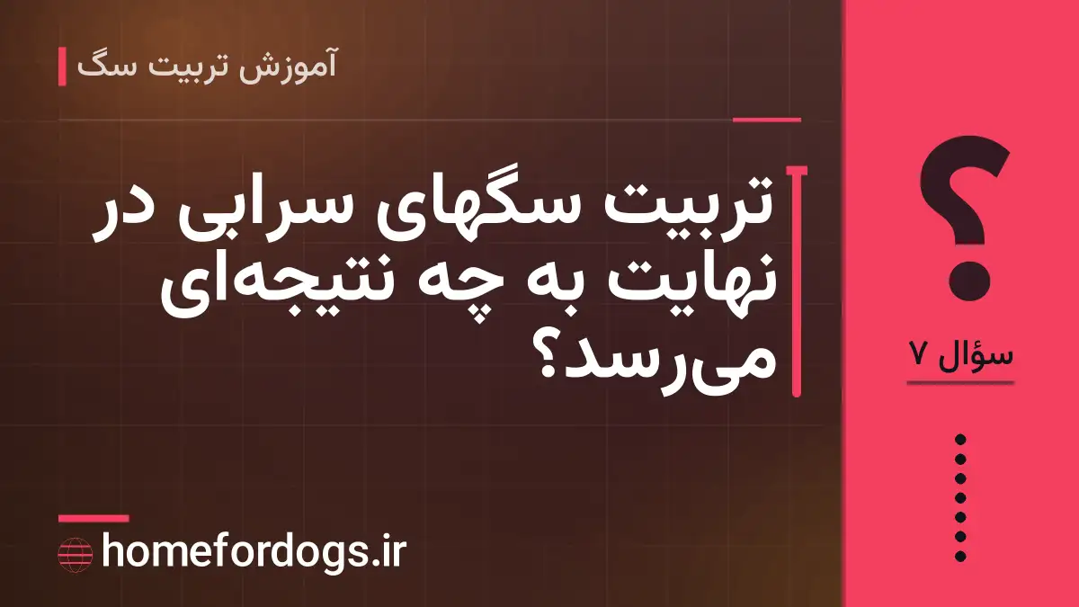 تربیت سگهای سرابی در نهایت به چه نتیجه‌ای می‌رسد؟