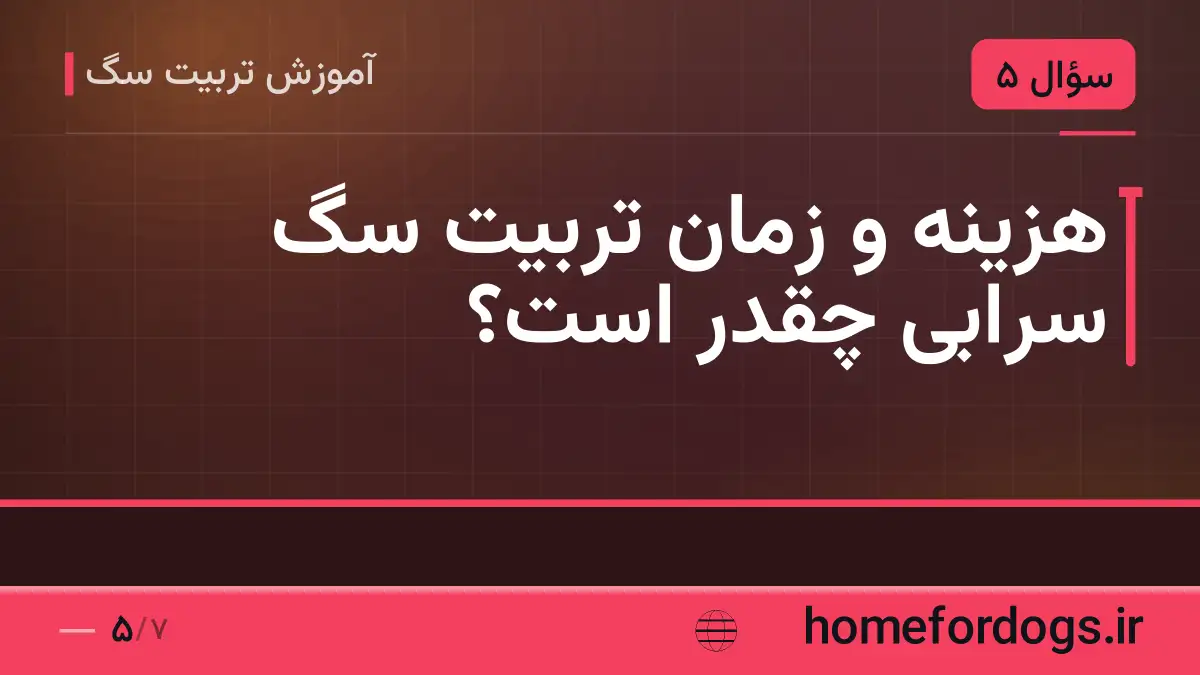 هزینه و زمان تربیت سگ سرابی چقدر است؟