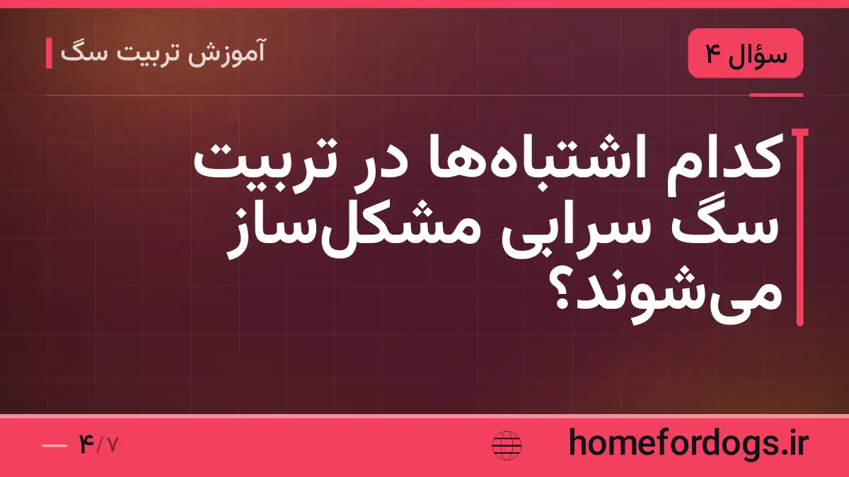 کدام اشتباه‌ها در تربیت سگ سرابی مشکل‌ساز می‌شوند؟