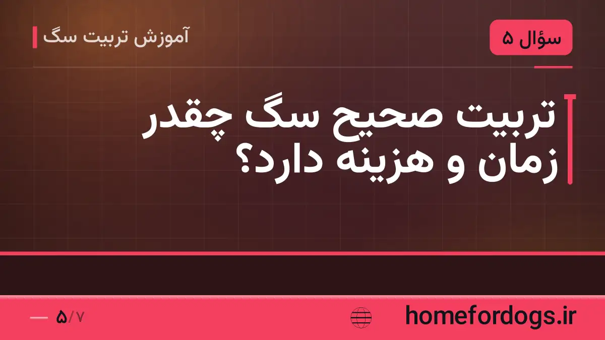 تربیت صحیح سگ چقدر زمان و هزینه دارد؟