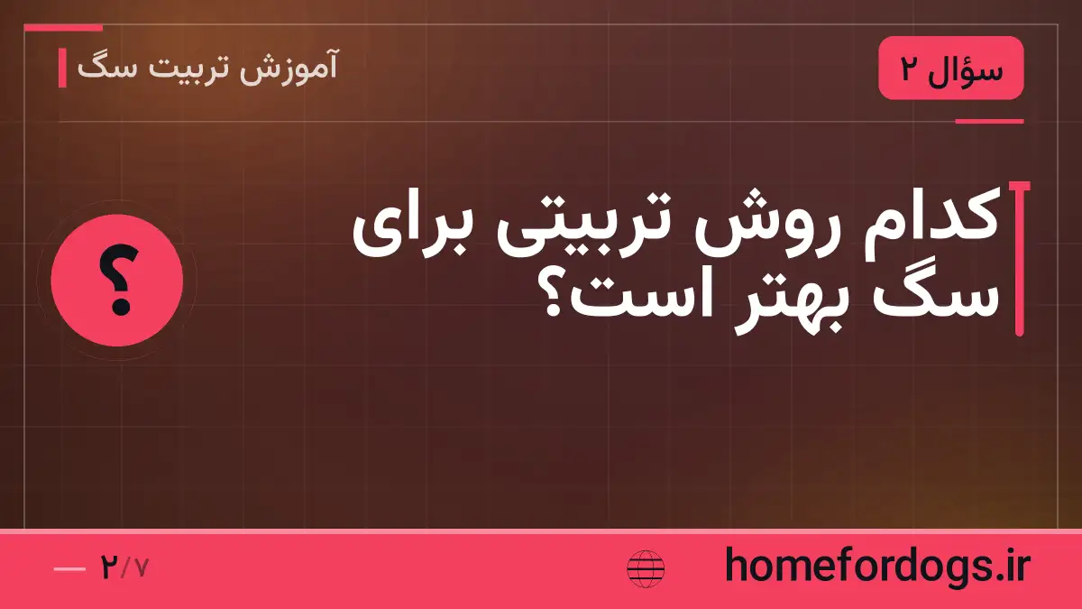 کدام روش تربیتی برای سگ بهتر است؟