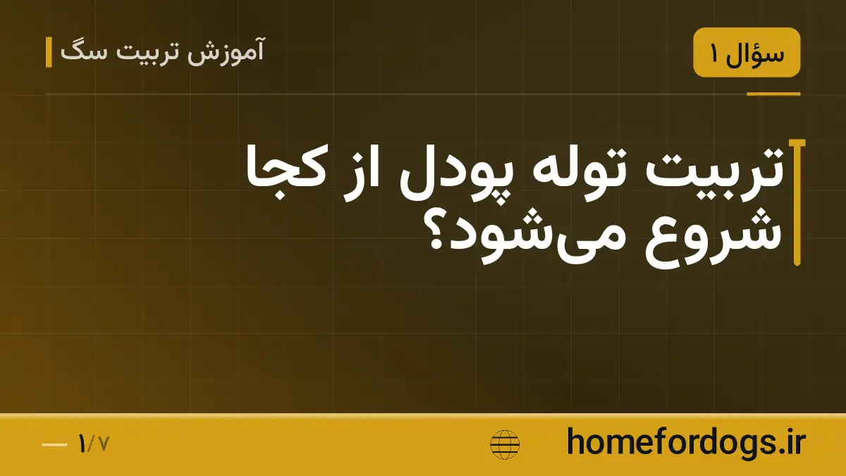 تربیت توله پودل از کجا شروع میشود؟