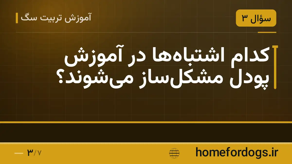کدام اشتباهها در آموزش پودل مشکلساز میشوند؟