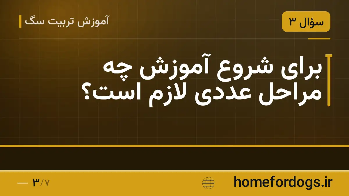 برای شروع آموزش چه مراحل عددی لازم است؟