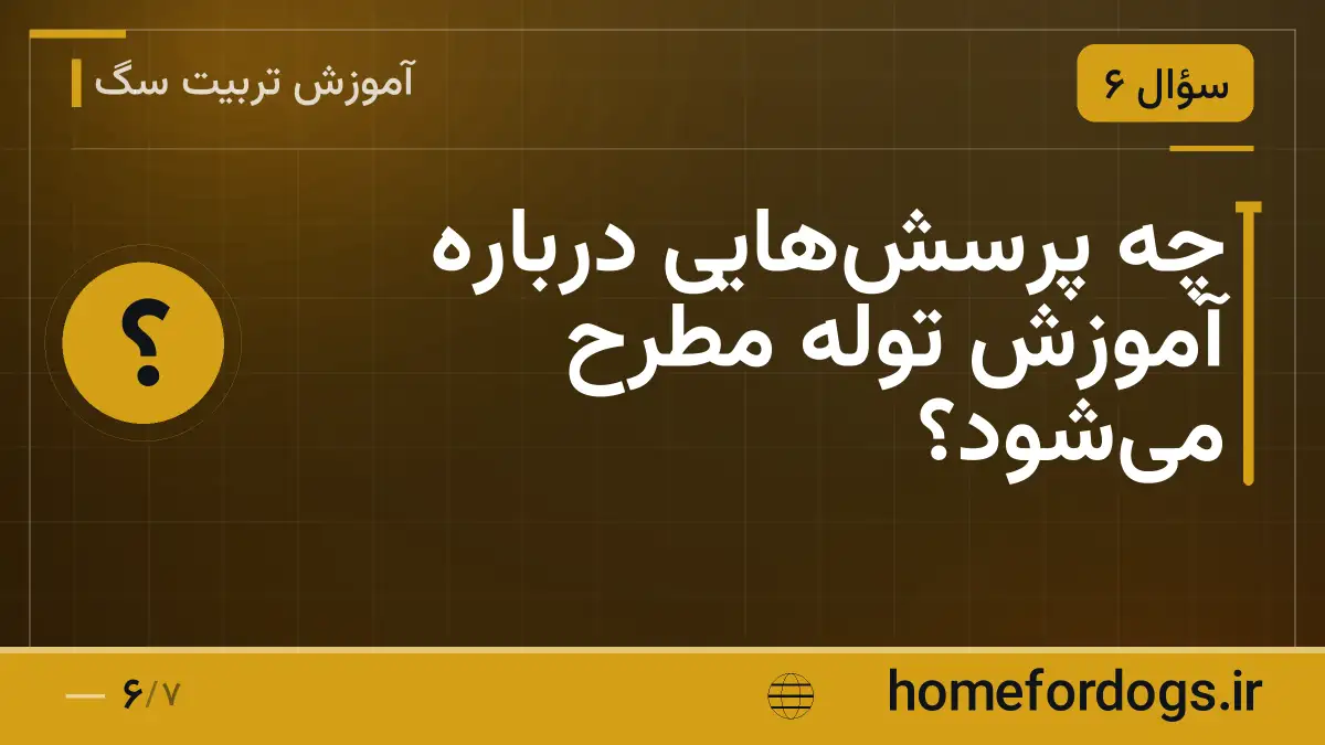 چه پرسش‌هایی درباره آموزش توله مطرح می‌شود؟