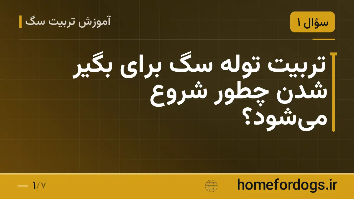 تربیت توله سگ برای بگیر شدن چطور شروع می‌شود؟