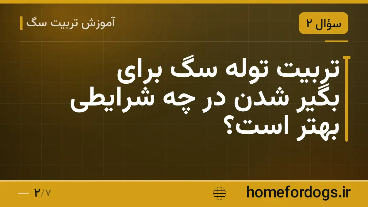 تربیت توله سگ برای بگیر شدن در چه شرایطی بهتر است؟