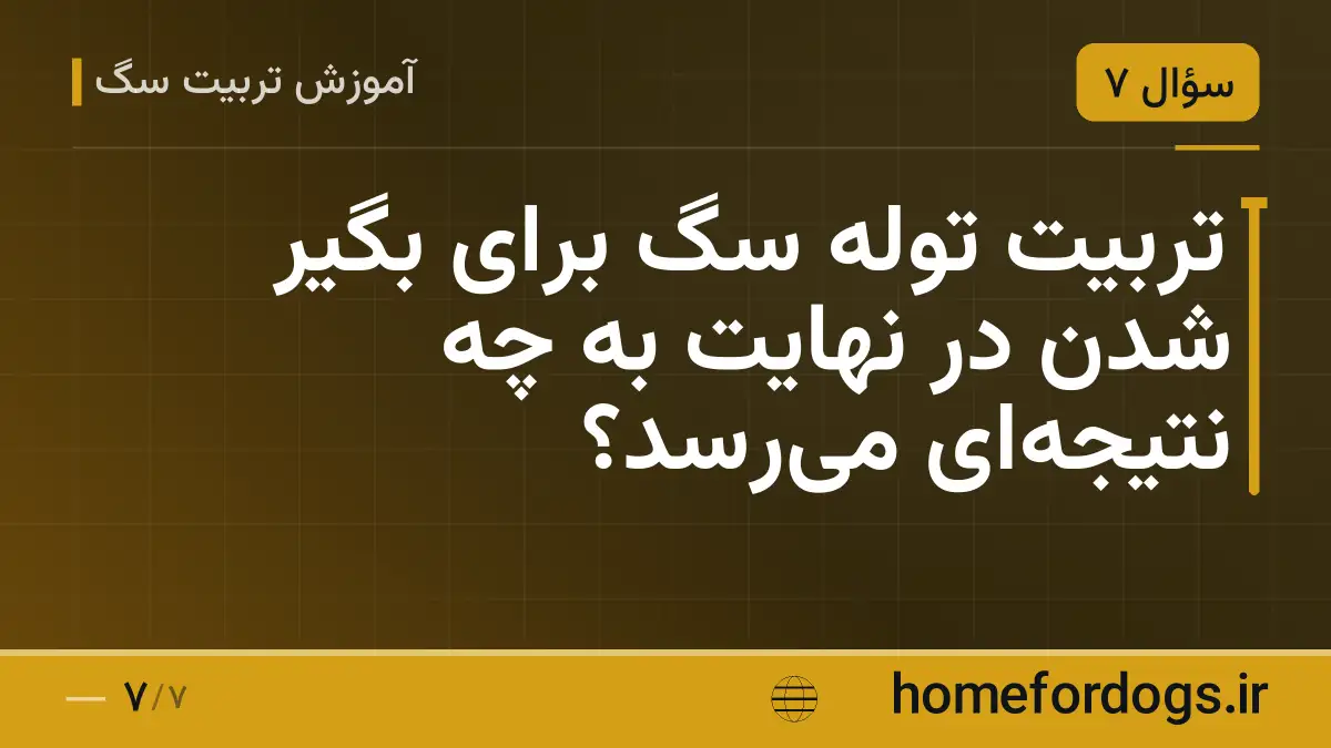 تربیت توله سگ برای بگیر شدن در نهایت به چه نتیجه‌ای می‌رسد؟