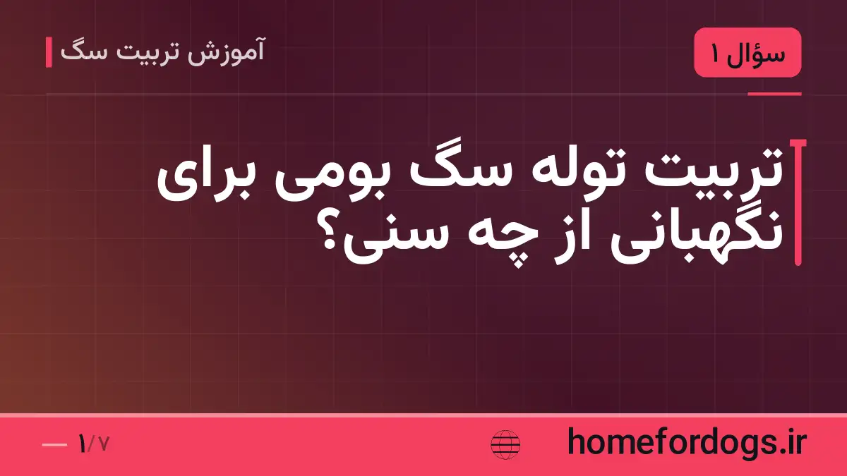 تربیت توله سگ بومی برای نگهبانی از چه سنی؟