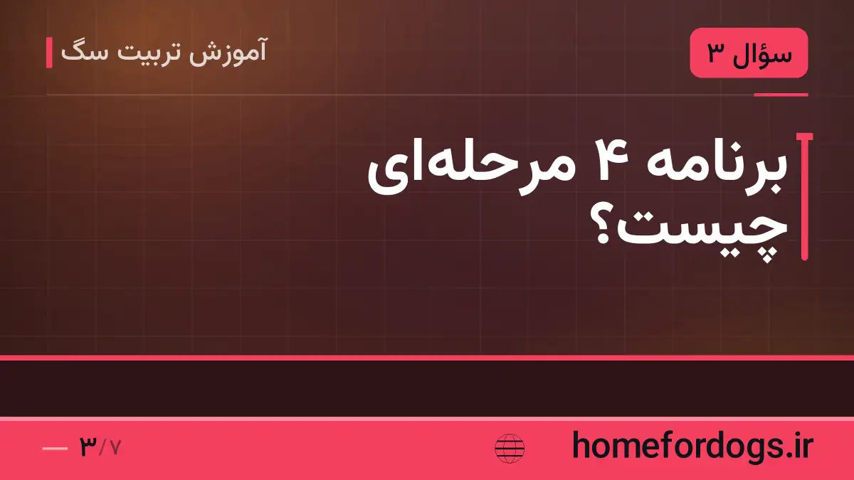 برنامهٔ ۴ مرحلهای چیست؟