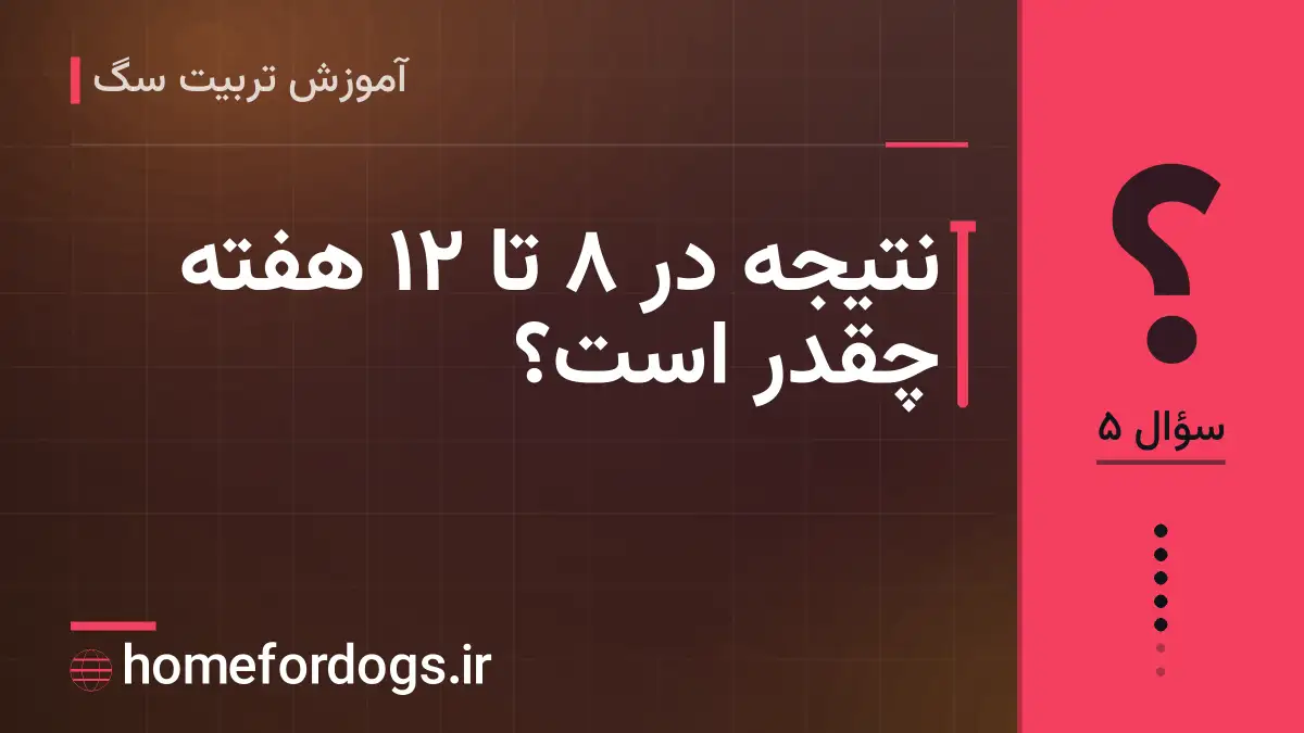 نتیجه در ۸ تا ۱۲ هفته چقدر است؟