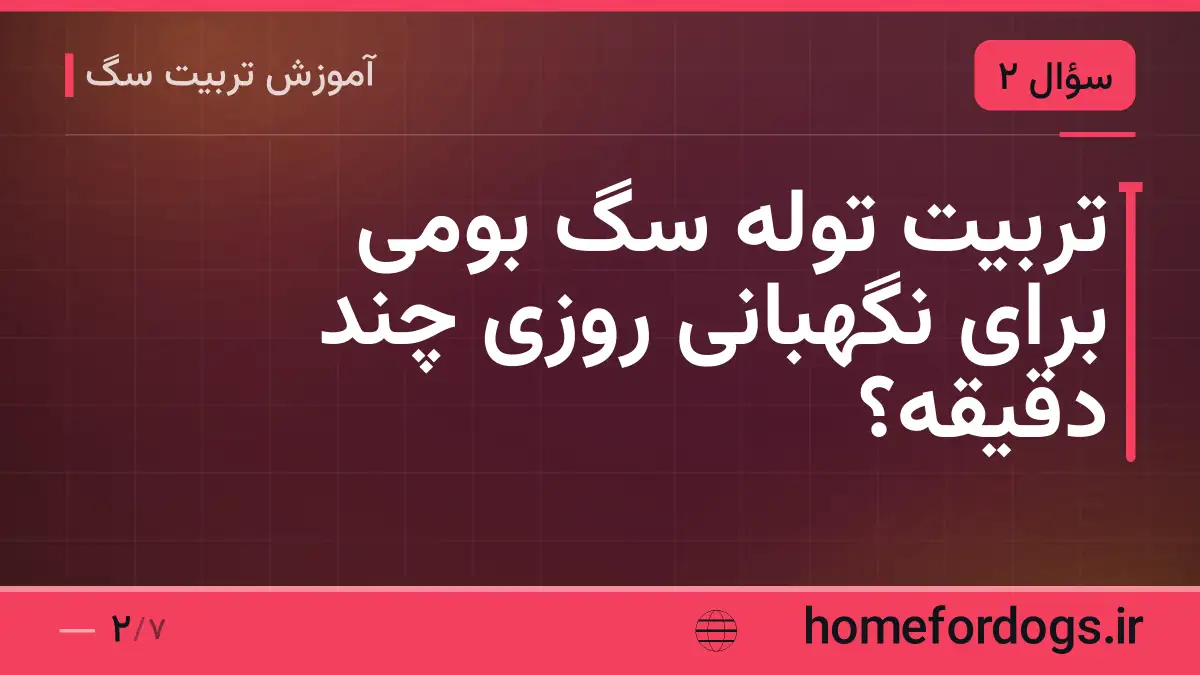 تربیت توله سگ بومی برای نگهبانی روزی چند دقیقه؟