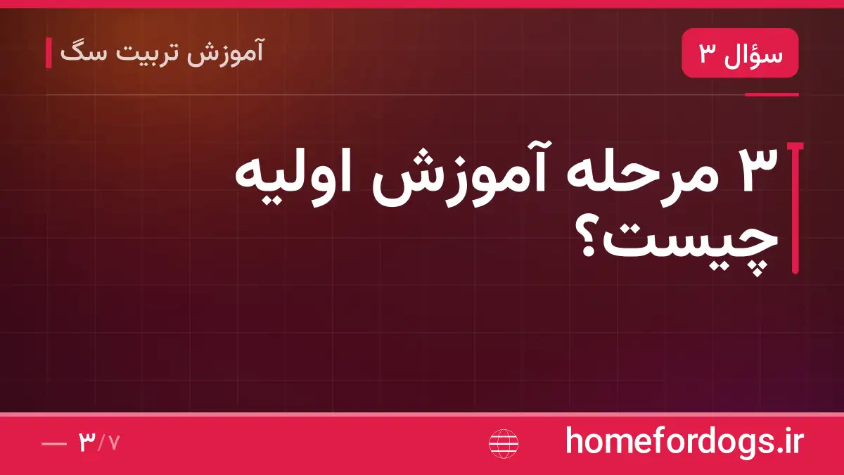 ۳ مرحله آموزش اولیه چیست؟