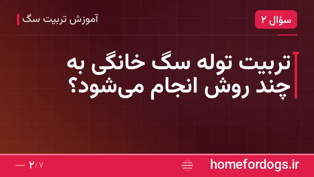 تربیت توله سگ خانگی به چند روش انجام می‌شود؟