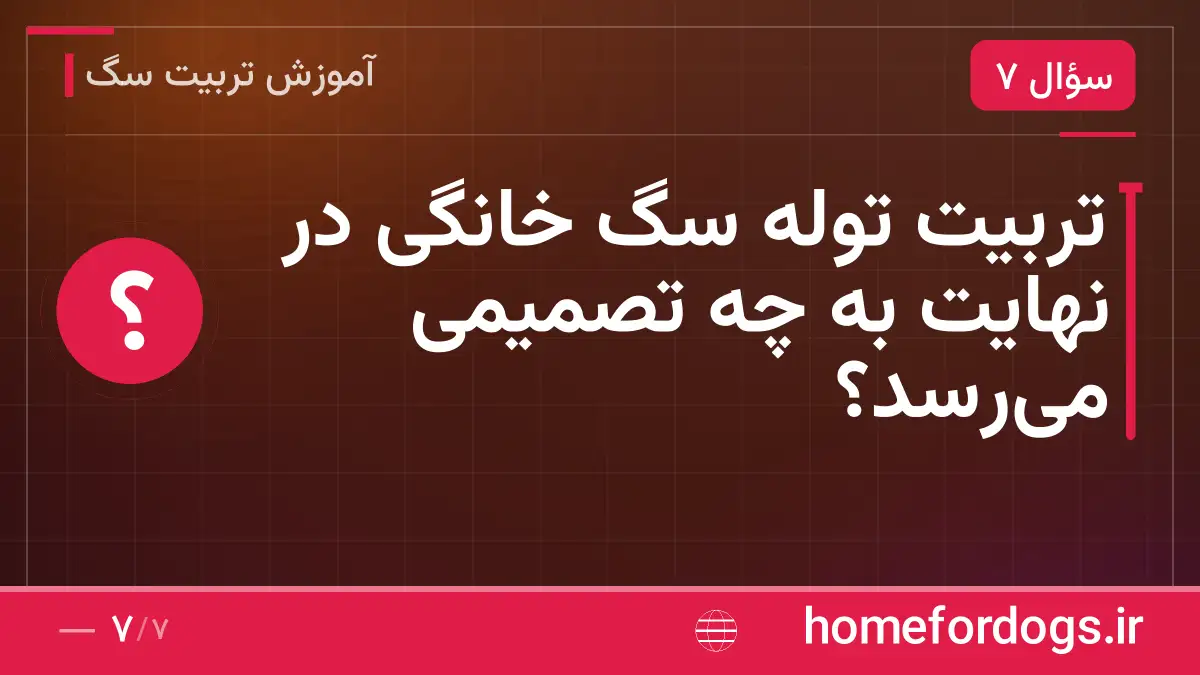 تربیت توله سگ خانگی در نهایت به چه تصمیمی می‌رسد؟