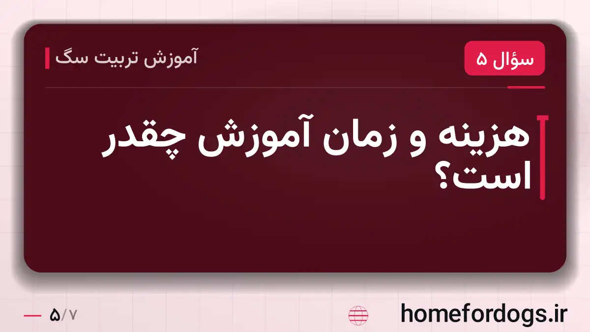 هزینه و زمان آموزش چقدر است؟