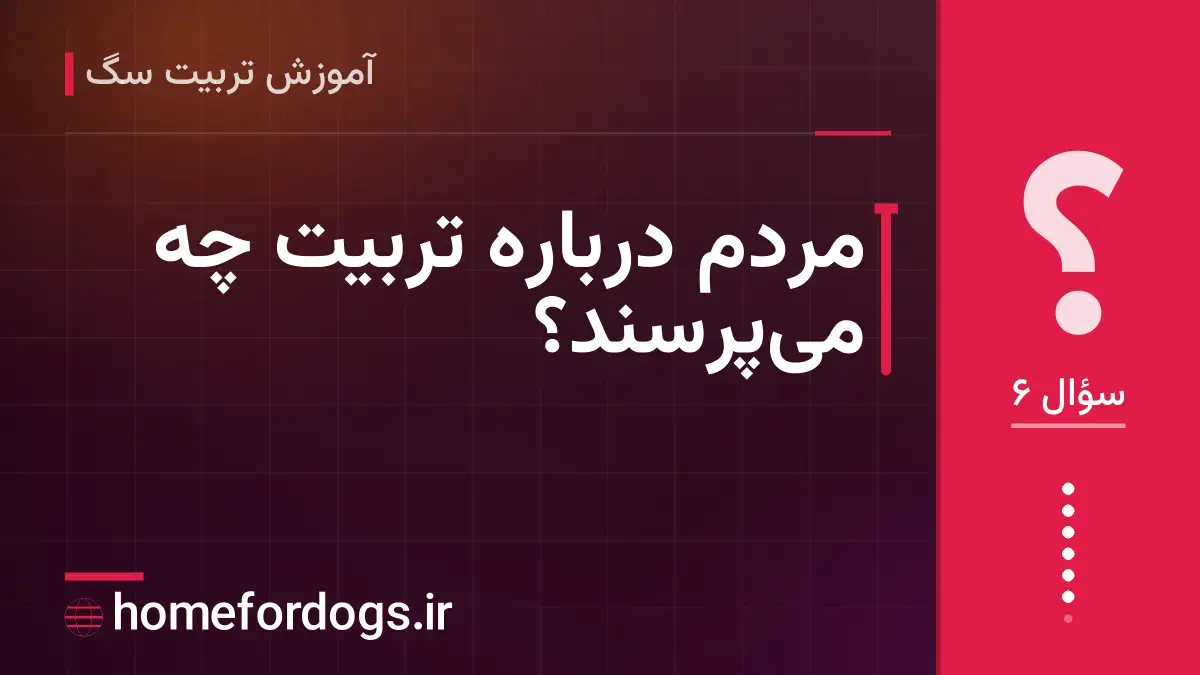 مردم درباره تربیت چه می‌پرسند؟