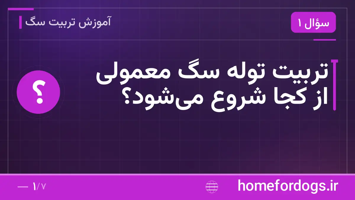 تربیت توله سگ معمولی از کجا شروع میشود؟