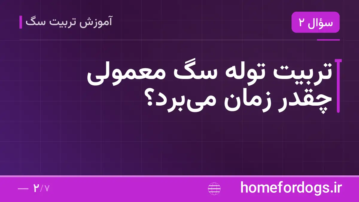 تربیت توله سگ معمولی چقدر زمان میبرد؟