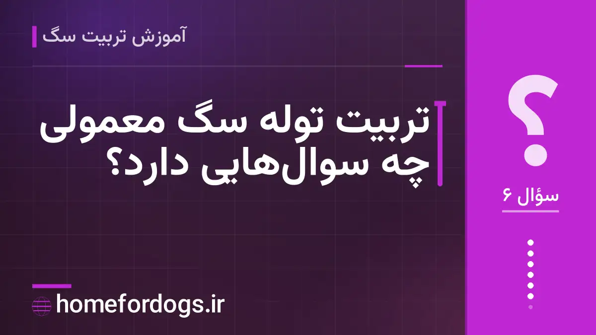 تربیت توله سگ معمولی چه سوالهایی دارد؟