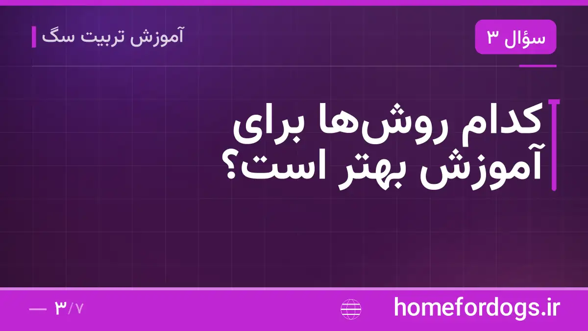 کدام روشها برای آموزش بهتر است؟