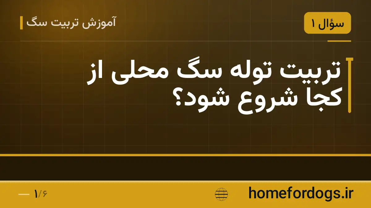 تربیت توله سگ محلی از کجا شروع شود؟