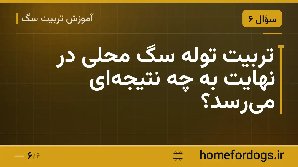 تربیت توله سگ محلی در نهایت به چه نتیجه‌ای می‌رسد؟