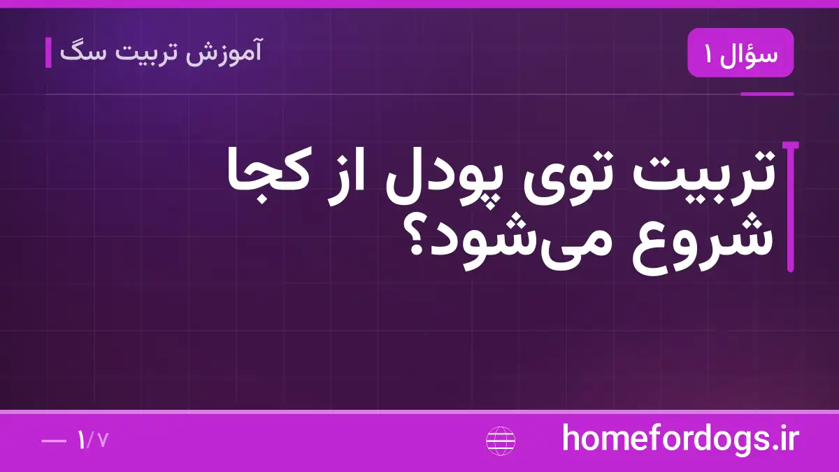 تربیت توی پودل از کجا شروع میشود؟