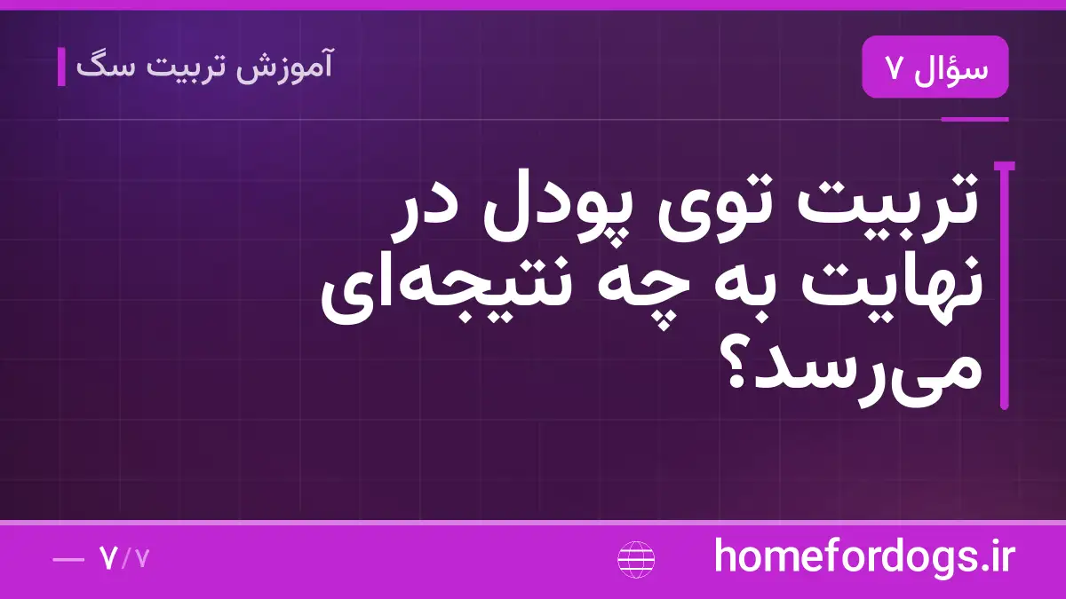 تربیت توی پودل در نهایت به چه نتیجهای میرسد؟