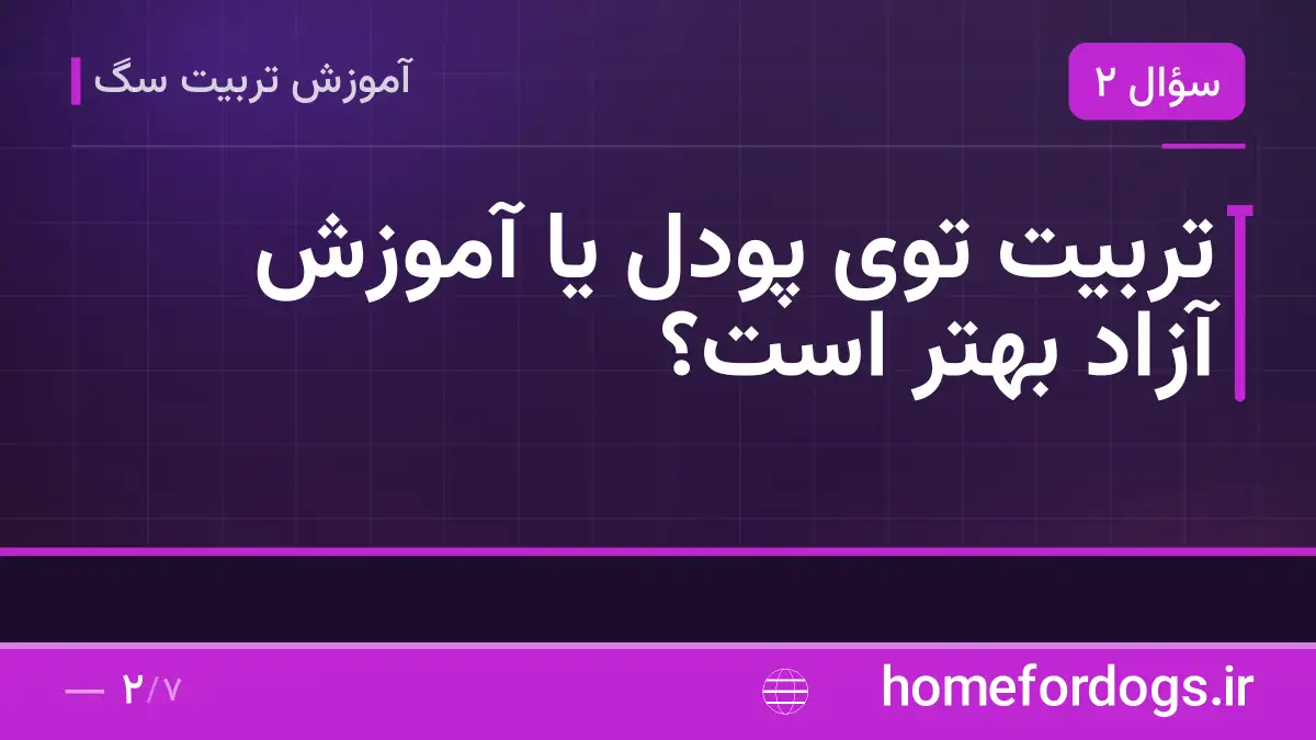 تربیت توی پودل یا آموزش آزاد بهتر است؟