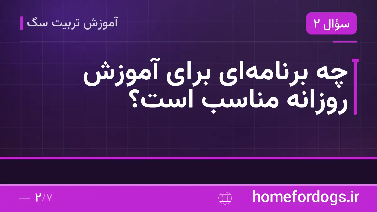 چه برنامه‌ای برای آموزش روزانه مناسب است؟