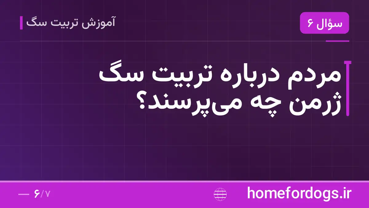 مردم درباره تربیت سگ ژرمن چه می‌پرسند؟
