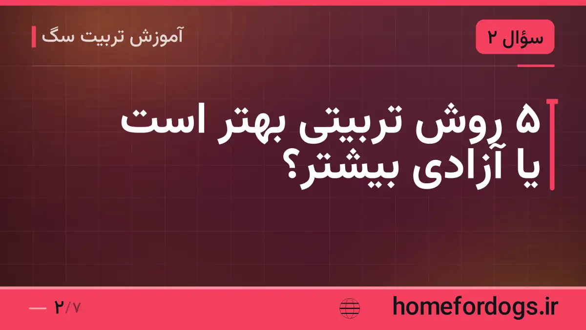 ۵ روش تربیتی بهتر است یا آزادی بیشتر؟