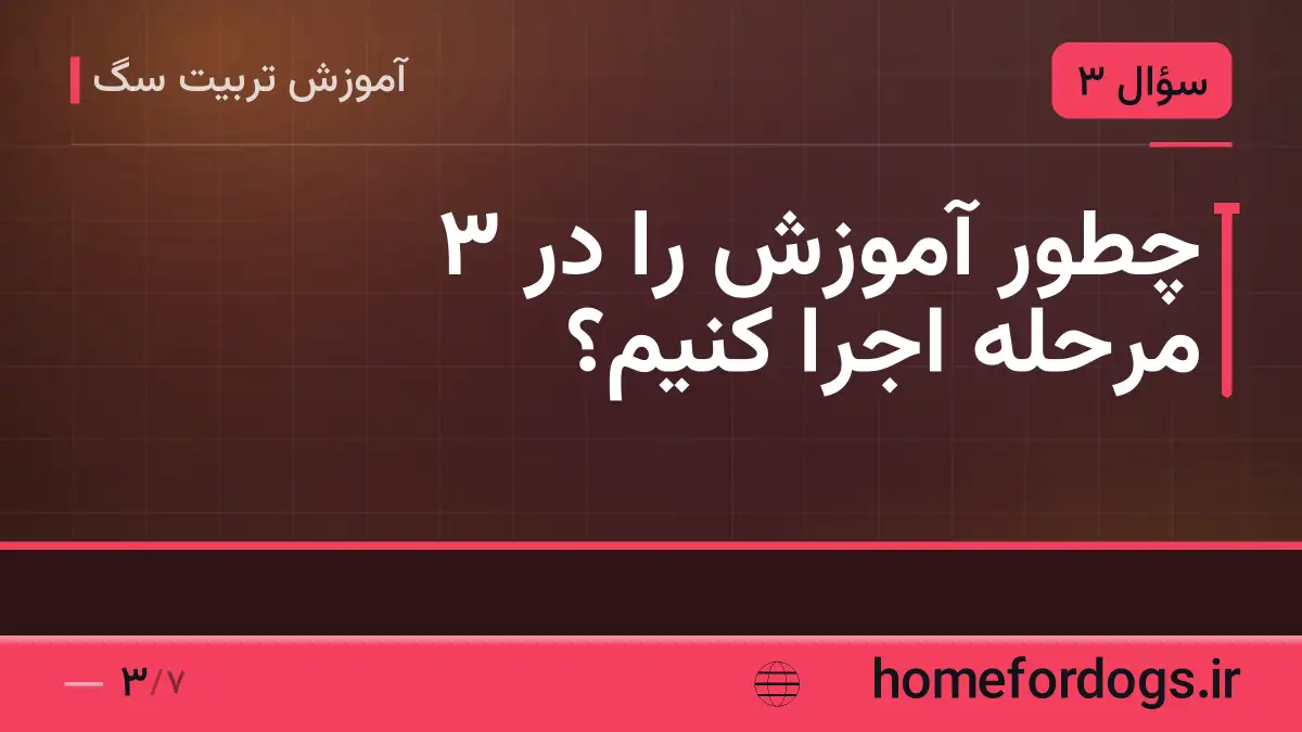 چطور آموزش را در ۳ مرحله اجرا کنیم؟