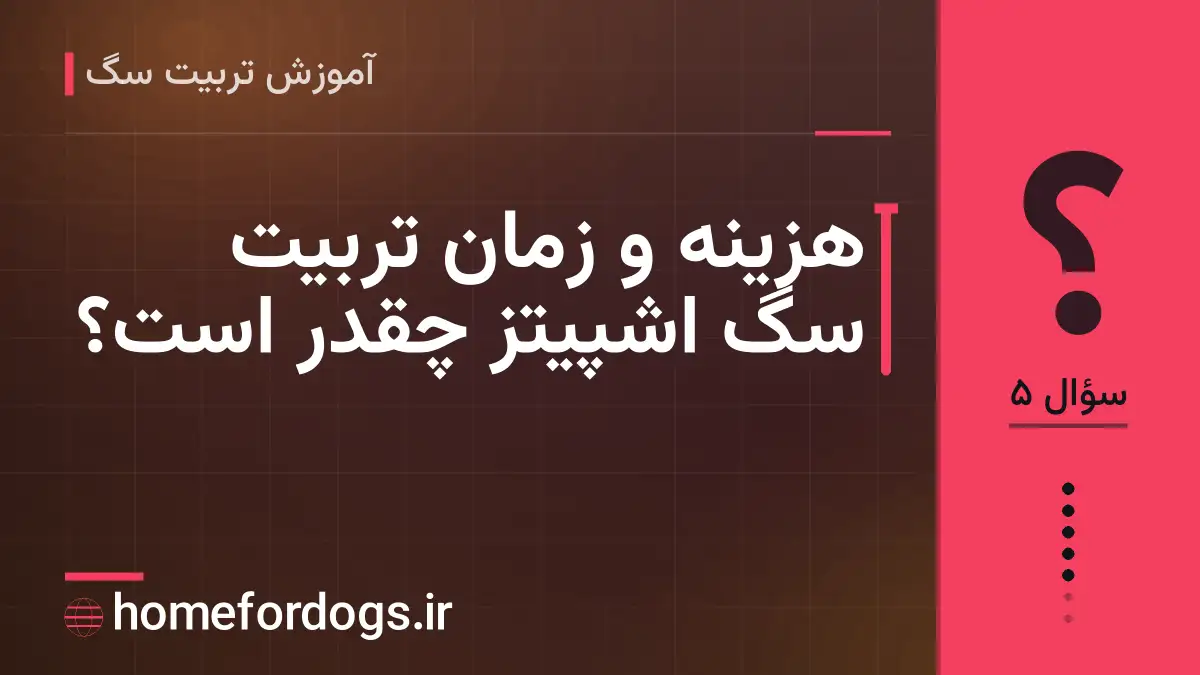 هزینه و زمان تربیت سگ اشپیتز چقدر است؟