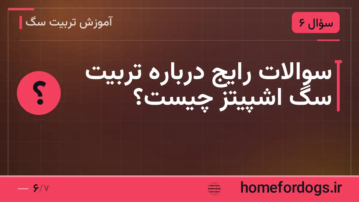 سوالات رایج درباره تربیت سگ اشپیتز چیست؟