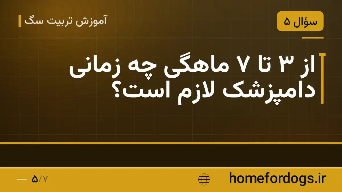 از ۳ تا ۷ ماهگی چه زمانی دامپزشک لازم است؟