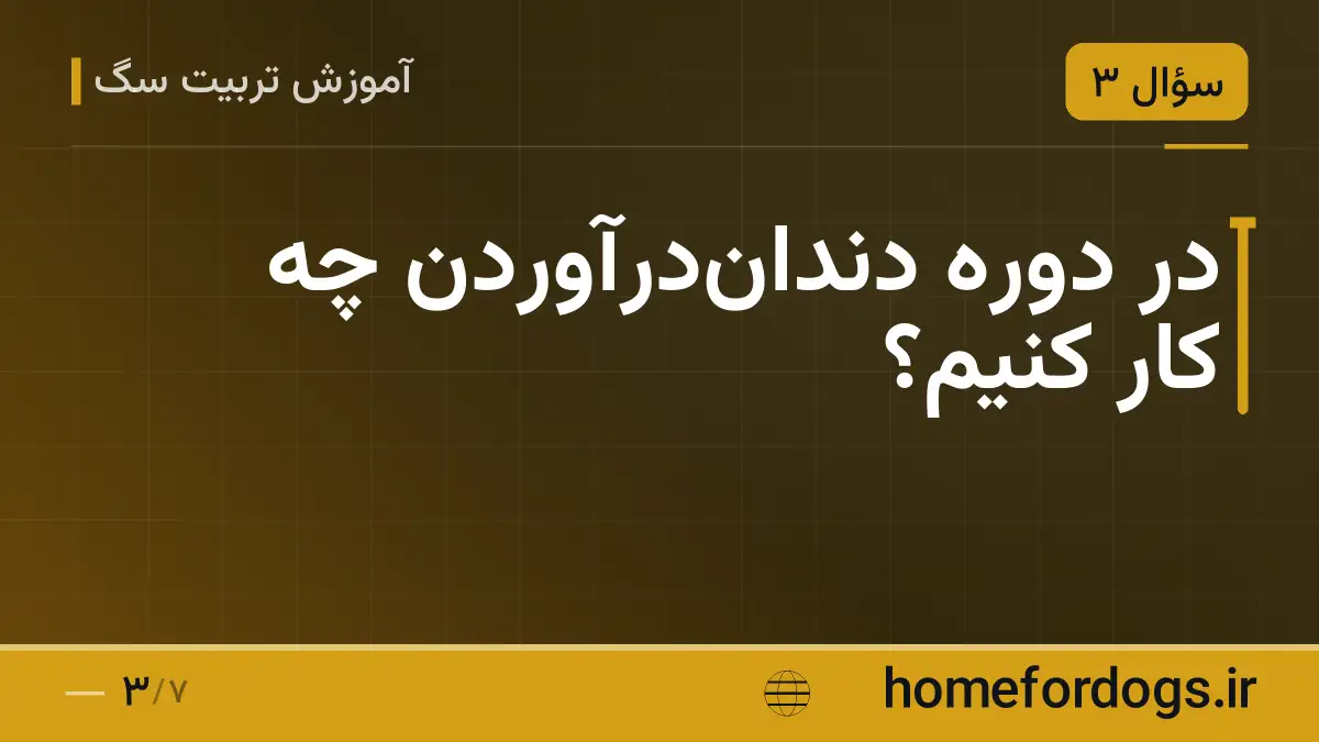 در دوره دندان‌درآوردن چه کار کنیم؟
