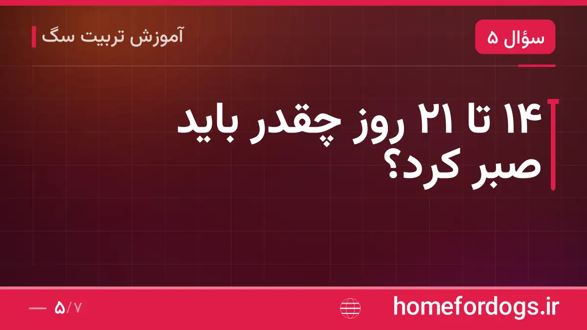 ۱۴ تا ۲۱ روز چقدر باید صبر کرد؟
