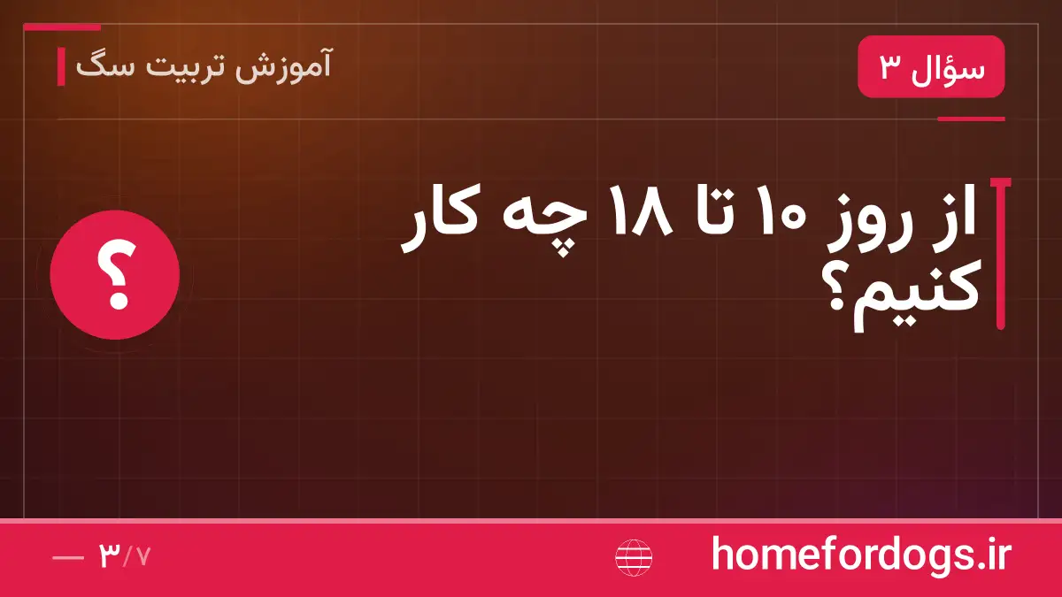 از روز ۱۰ تا ۱۸ چه کار کنیم؟