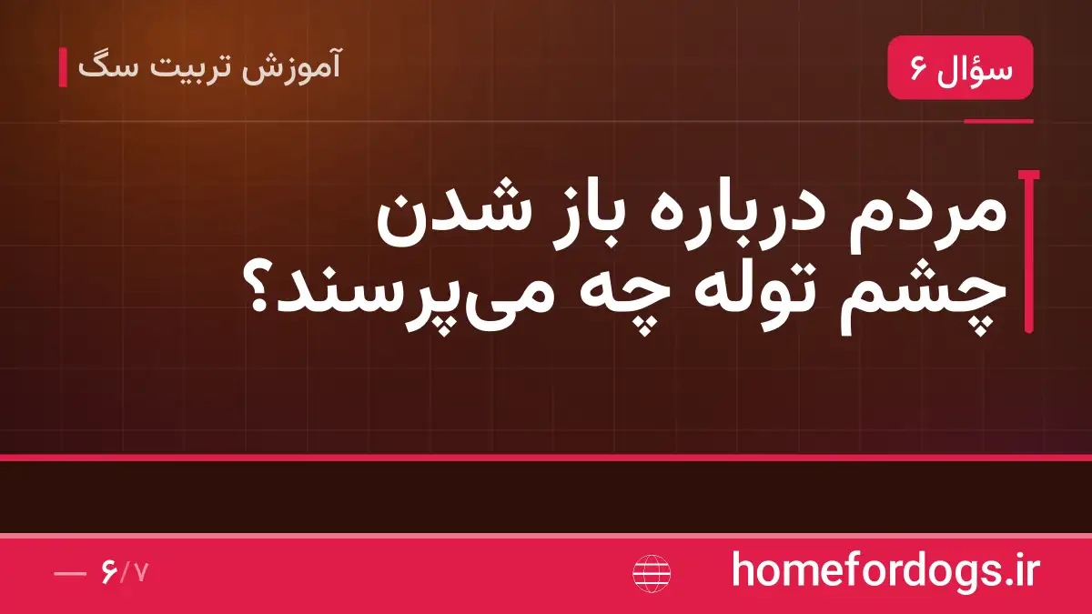 مردم درباره باز شدن چشم توله چه می‌پرسند؟