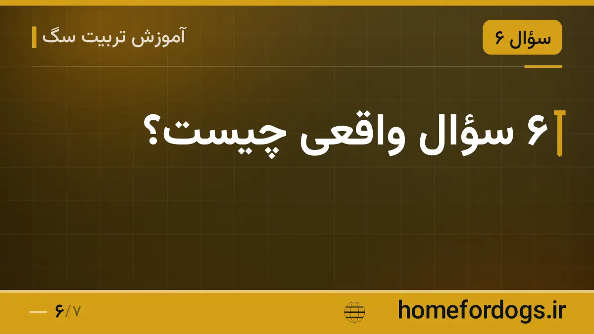 ۶ سؤال واقعی چیست؟