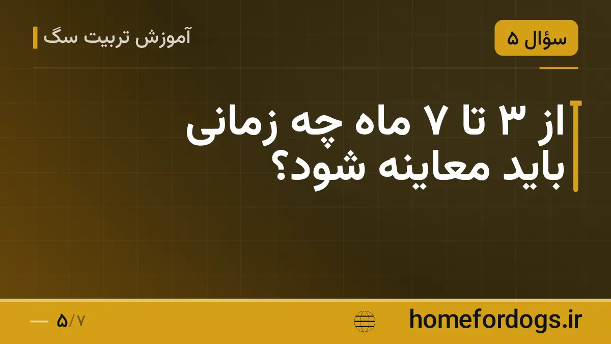 از ۳ تا ۷ ماه چه زمانی باید معاینه شود؟