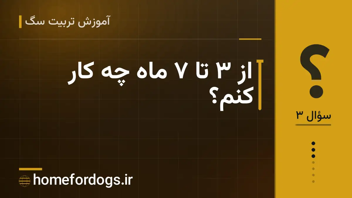 از ۳ تا ۷ ماه چه کار کنم؟