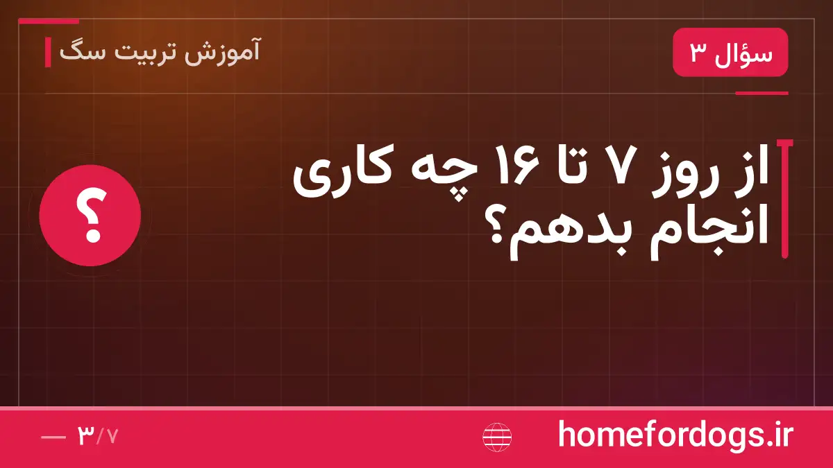 از روز ۷ تا ۱۶ چه کاری انجام بدهم؟