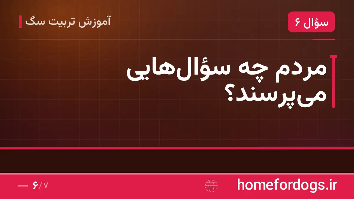 مردم چه سؤال‌هایی می‌پرسند؟