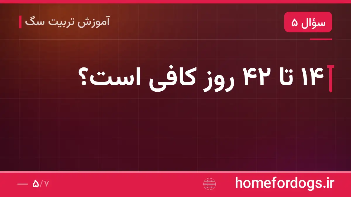 ۱۴ تا ۴۲ روز کافی است؟